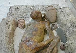 Momia del Predinstico Tardo conocida como "Ginger". Gebelein. British Museum EA 32751.